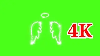 Neon Glowing Wing Green Screen||Neon Glowing Green Screen||Chrome Key||Neon Animation||Green Screen