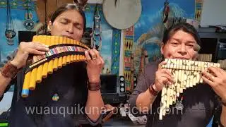 The Rose - La Rosa - Panflóite - Panflute - Flauta de Pan - Quenacho - instrumental - WUAUQUIKUNA