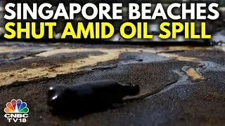 Singapore Oil Spill: Beaches on Singapores Sentosa Island Closed After Oil Spill | N18G