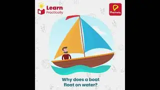 Interesting Fact About A Boat | Learn Practically