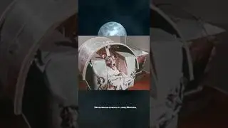 Первая собака в космосе..