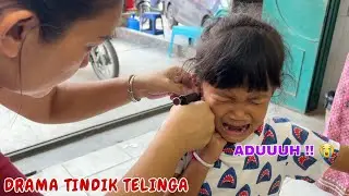 DRAMA TINDIK TELINGA 😭 BERANI TAPI TAKUT❗| QIFA AGUNG