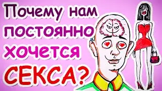 Почему нам постоянно хочется СЕКСА? — Научпок