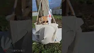 Просьба форточки и двери широко не открывать и от самолёта далеко не отходить ☀️✈️🌎 