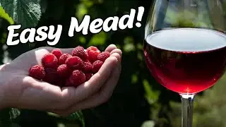 How to Make a Raspberry Mead at Home!