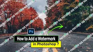 How to Add a Watermark in Photoshop | Photoshop Watermark