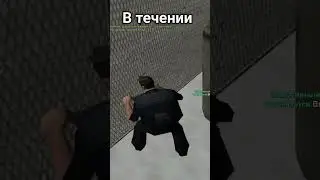 24 часа в ТСР #gta #samp #arizonarp #самп #shorts