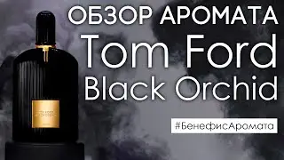 Обзор и отзывы о Tom Ford Black Orchid (Том Форд Блэк Орхид) от Духи.рф | Бенефис аромата