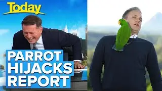 Weatherman freaks out over BIRD (AND 6 other laughs from this morning) | Today Show Australia