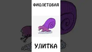 Как вам фиолетовая улитка ?) 
