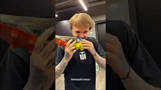 Литвин ДРУЗЬЯ НЮХАЮТ БУТСЫ🤣🔥 