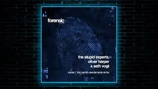 Seth Vogt, Oliver Harper, The Stupid Experts - Voices (Kamilo Sanclemente Remix) [Forensic Records]