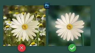 Change Normal Photo to Profissional look in Adobe Photoshop