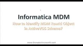 Informatica MDM - How to identify MDM Rowid in AVOS schema