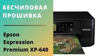 Бесчиповая прошивка Epson XP-640 | Видеоинструкция