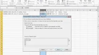 Microsoft Excel: Using the Text to Column Feature