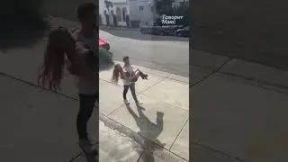 Кто то выбросил куклу Хору. - Привет, я Сторми! - 