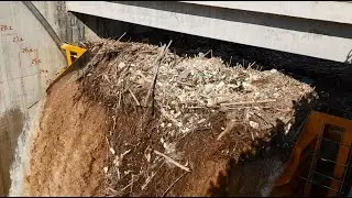 Radial gate with flap clearing debris