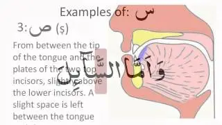 Ponders End Mosue Tajweed Slides Part 1 - Jalaliah Jamme Masjeed