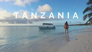 TANZANIA TRAVEL VLOG | Serengeti & Zanzibar