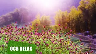 10 Hours of Relaxing Music - Sleep Music, Piano Music for Stress Relief, Sleeping Music (Dylan)