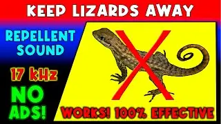 ANTI LIZARDS REPELLENT SOUND ⛔🦎 KEEP LIZARDS AWAY - ULTRASONIC SOUND