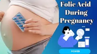 Understanding the Risks of Folic Acid Antagonists During Pregnancy