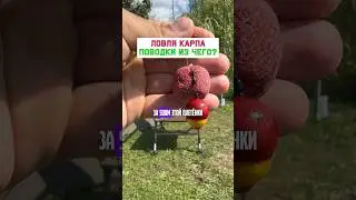 Эффективные поводки на карпа и сазана #карпфишинг