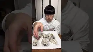 Raw oysters 