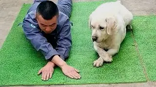 When You Own A Dog With An IQ 200 😲 Funniest Dog Ever!