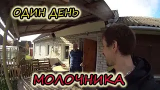 Счастливые покупатели // Продажа молока // Молоко из деревни // Семья Лях