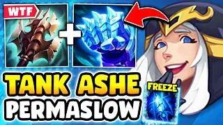 TANK ASHE TOP HAS A BRAND NEW BUILD AND IT'S 100% BROKEN! (PERMASLOW EVERYONE)