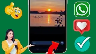 WhatsApp 상태 좋아요 버튼 옵션이 표시되지 않는 문제를 해결하는 방법 | WhatsApp 상태 좋아요 옵션 새 업데이트