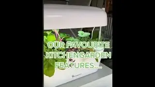 Our favourite Vegepod Kitchen Garden features!