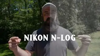 How to Expose Nikon N-Log / Zf Z8 Z9