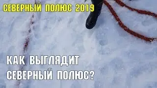 Как выглядит Северный полюс? | Сочинец на Северном полюсе