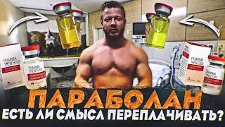 Трен энка и трен гекса - сравнительный обзор