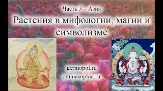 Растения. Часть 3 – Азия.