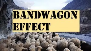 Bandwagon Effect Explained With Examples || Cognitive Biases