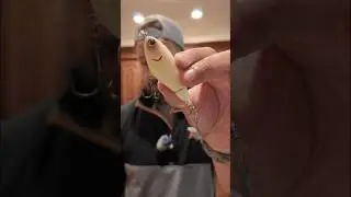 Berkley Choppo - Easiest Topwater Lure to Catch Fish!