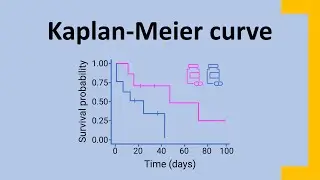 Kaplan-Meier curve [Clearly Explained] - [Survival Analysis Part 5]