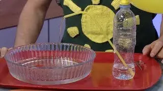 Опыты с воздухом - Мастерская - С добрым утром, малыши!