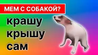 мем собака танцует #popstar