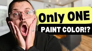 Painting Your ENTIRE House With ONE Color? NEVER Do This Unless...