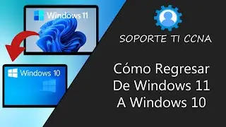 Cómo Volver de Windows 11 a Windows 10 🪟