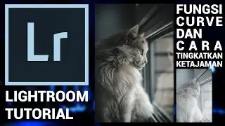 DASAR DASAR EDITING LIGHTROOM | Fungsi Curve & Cara Mempertajam Detail Foto Agar Foto Bisa Bercerita