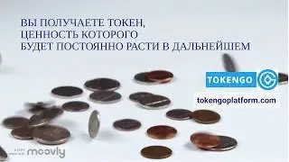 Платформа TokenGo. О криптовалюте, системе блокчейн, ICO  и токенах