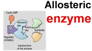 Allosteric enzyme