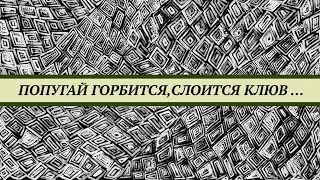 У попугая монаха искривление шеи, слоится клюв,  не ест корм. Кишечная палочка и кампилобактериоз.