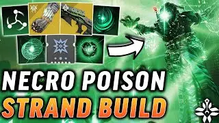 Necrochasm is INSANE With This Poison Strand Build! [Destiny 2 Warlock Build]